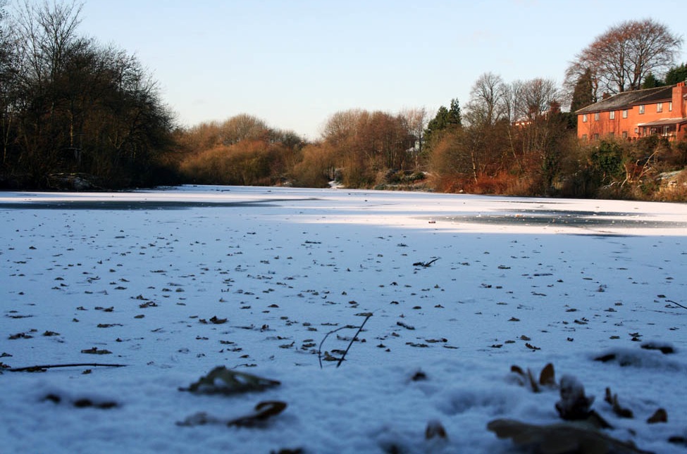 The beauty of ice - Sutton Mill Dam