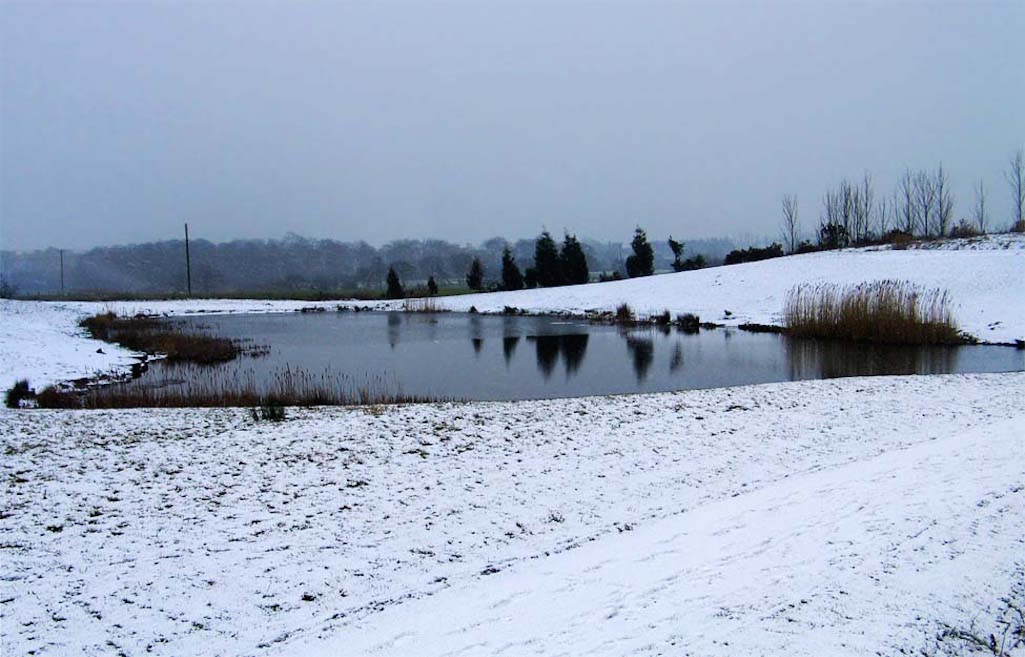 Winter in the Clock Face Country Park in Sutton, St Helens