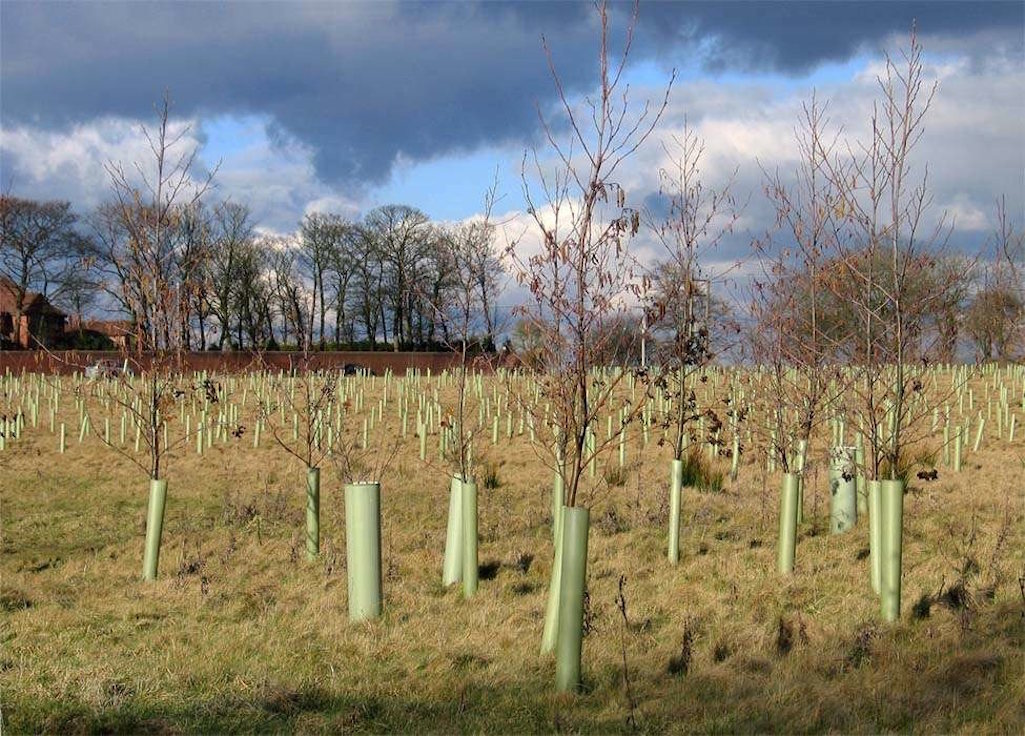 Maypole Wood by the Clock Face Country Park in Sutton, St Helens