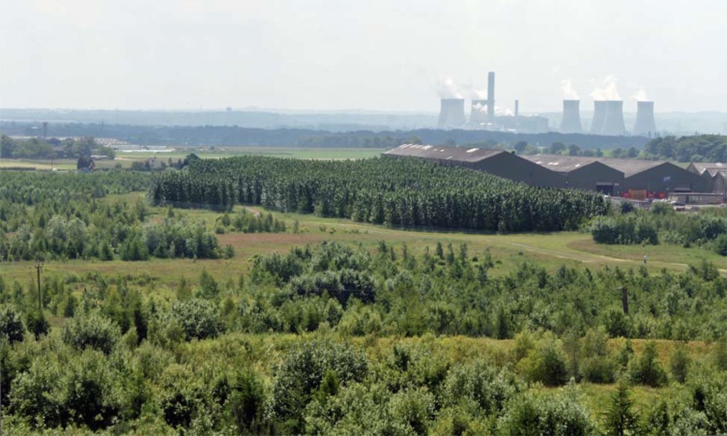 Wheatacre woodland with Fiddlers Ferry in the background