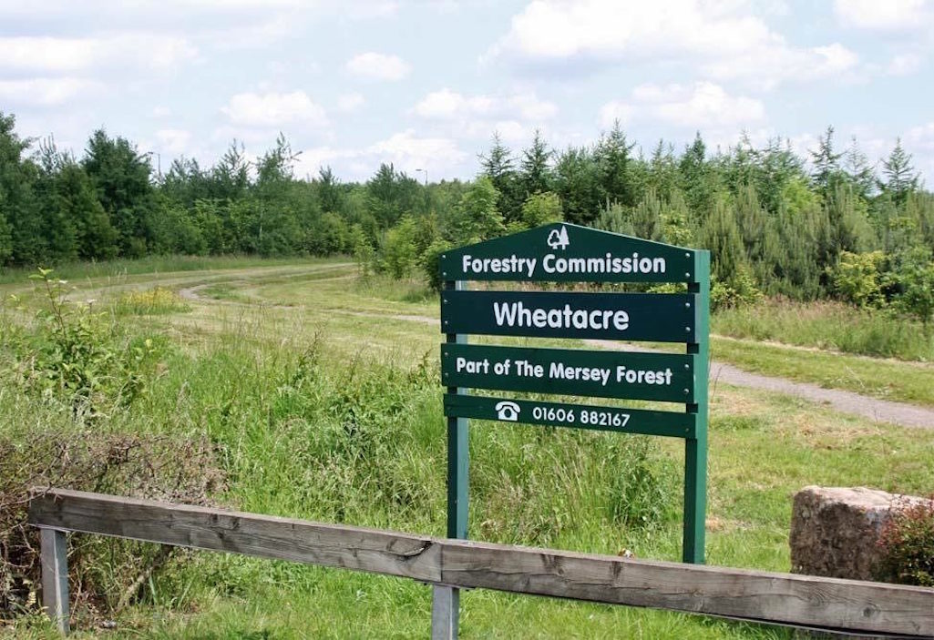 Wheatacre woodland in Bold St.Helens