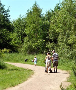 Family walking in Brickfields St.Helens