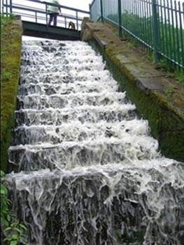 Waterfall at Sutton Mill Dam