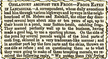 Onslaught Amongst The Frogs – Frogs Eaten in Lancashire