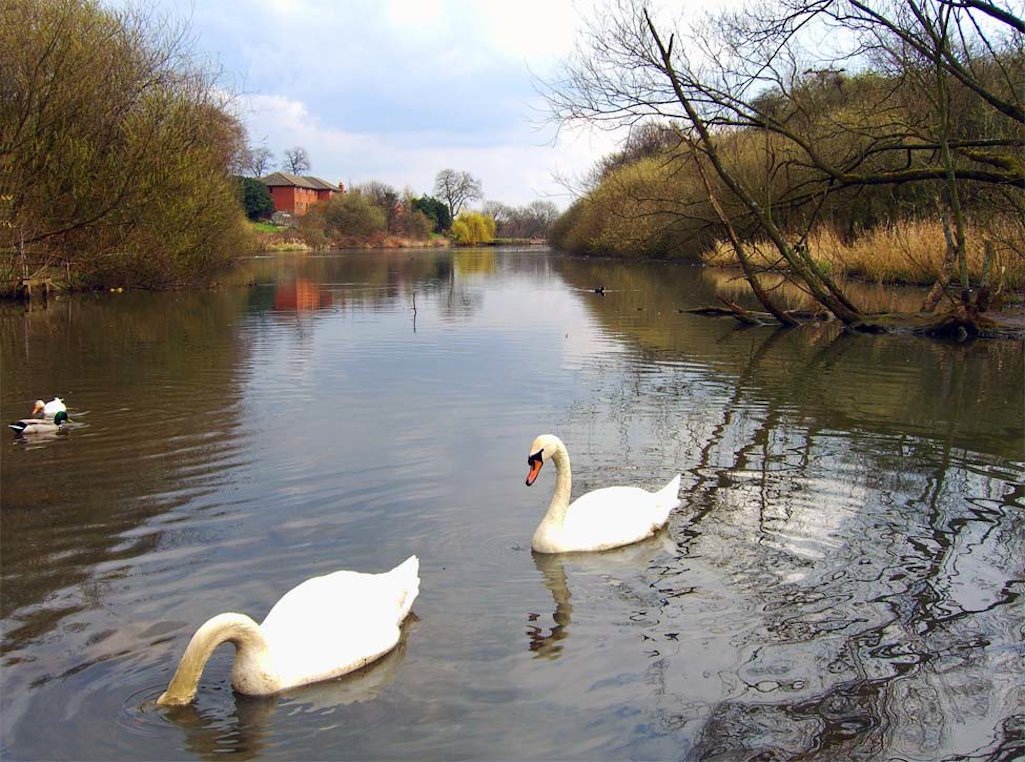 The Sutton Mill Dam in Sutton, St Helens