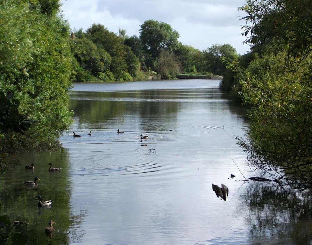 Sutton Mill Dam nature park in Sutton, St Helens